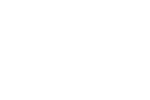 Evo Provider